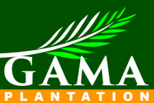 Gama Plantation